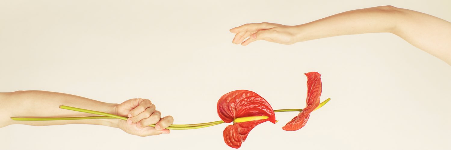 鈴木 友莉 ︴𝚈𝚞𝚛𝚒 𝚂𝚞𝚣𝚞𝚔𝚒 banner