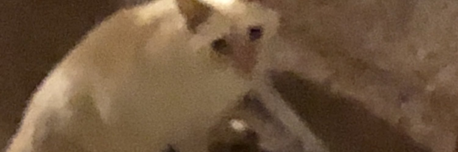 peepee the cat banner