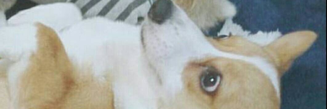 mystrious877's profile banner image