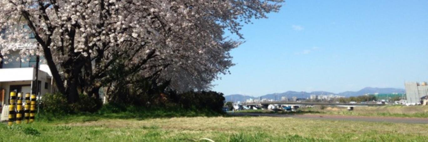 yuzoi's profile banner image