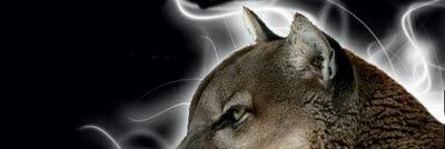 Jecotl banner