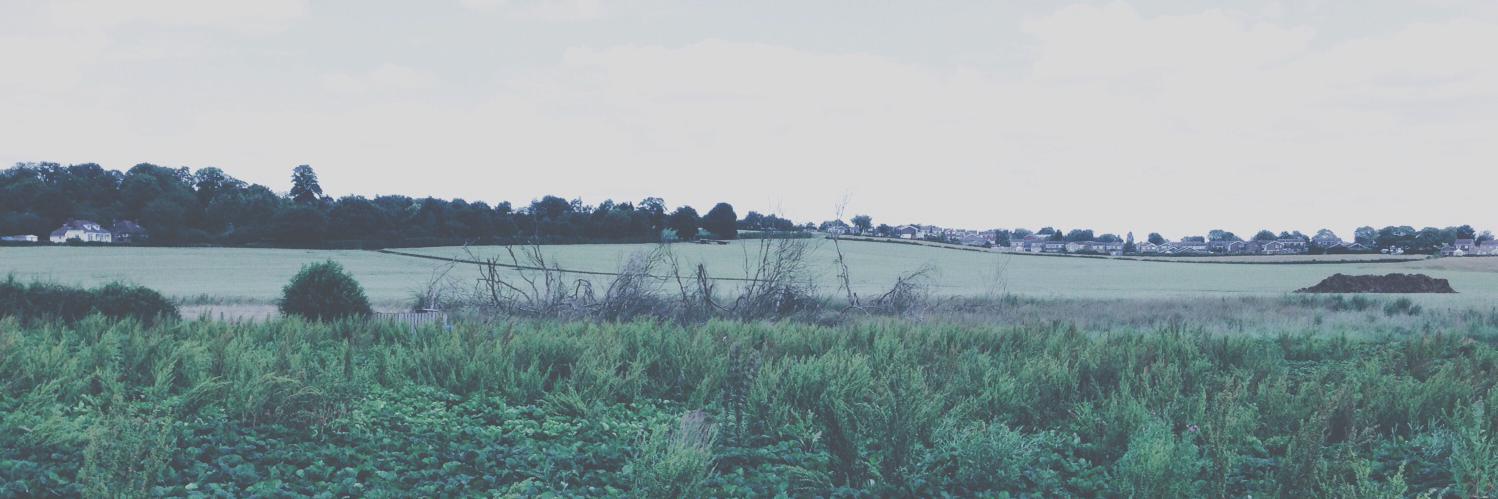 TotallyWildUK's profile banner image