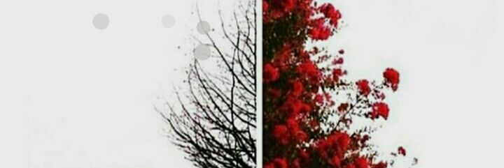 _odane's profile banner image