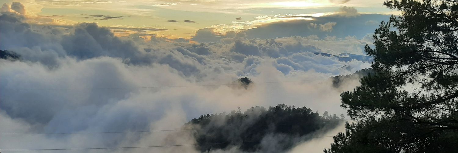 Citlalli Rofocale banner