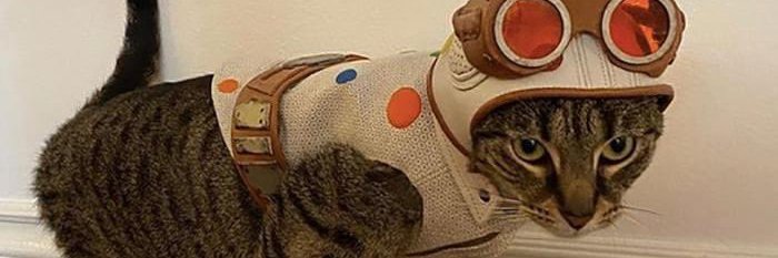 TimAtMoreFun's profile banner image
