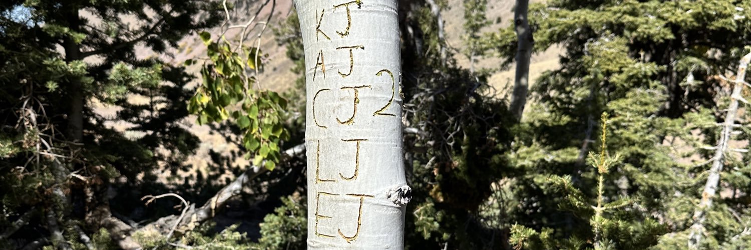 lindseyinnit's profile banner image