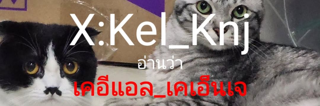 Kel | เช่ามือถือ | กดบัตรคอน banner