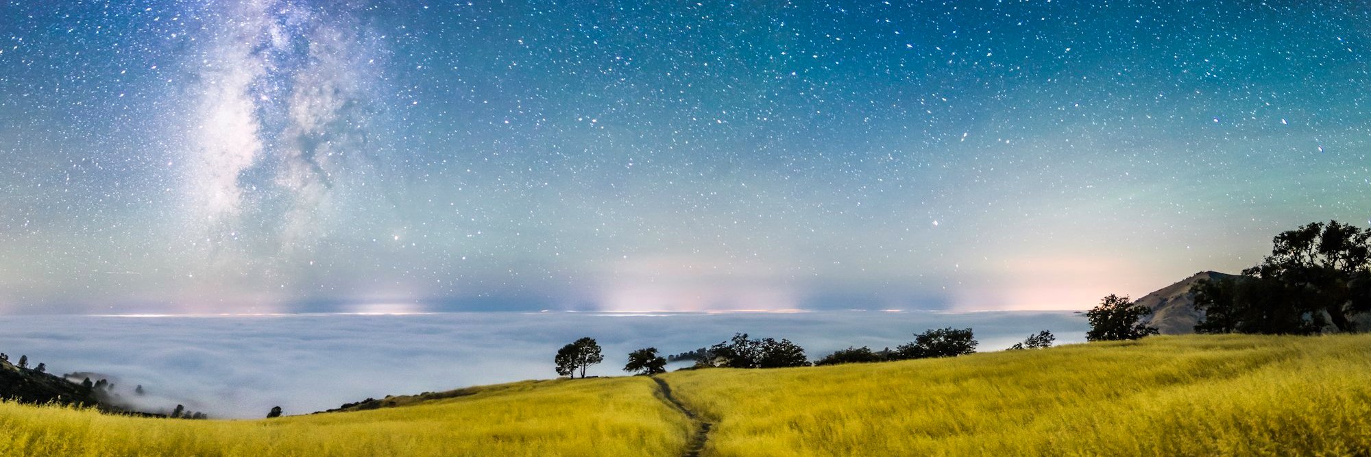 DD Nadeau 💥 banner