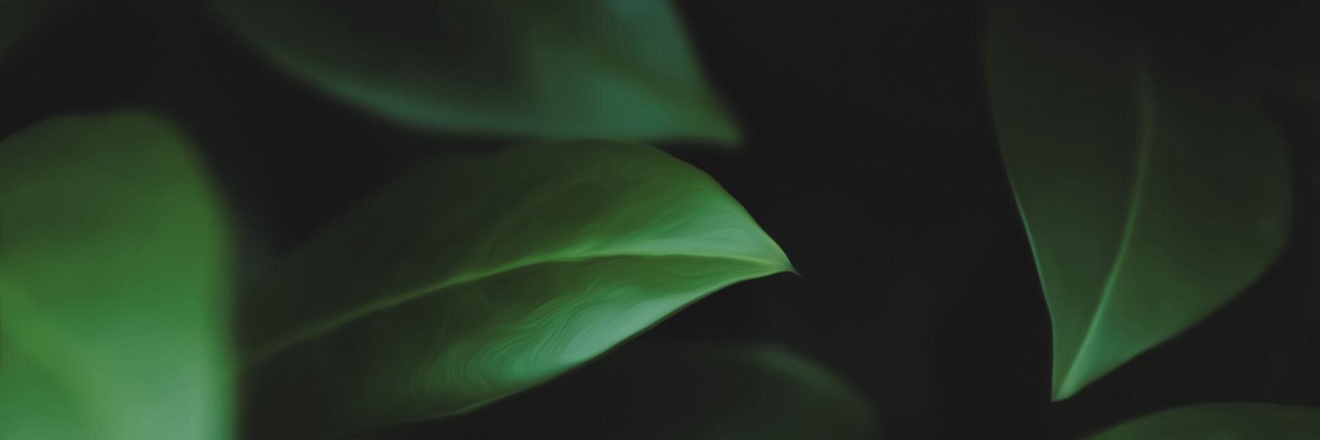 MartinElTio's profile banner image