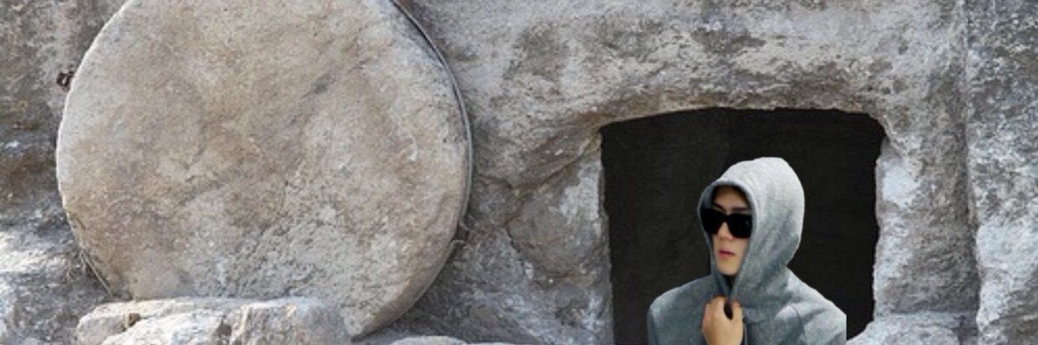 dracaring's profile banner image