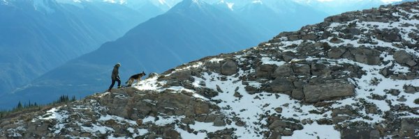 juliusstrauss1 Profile Banner