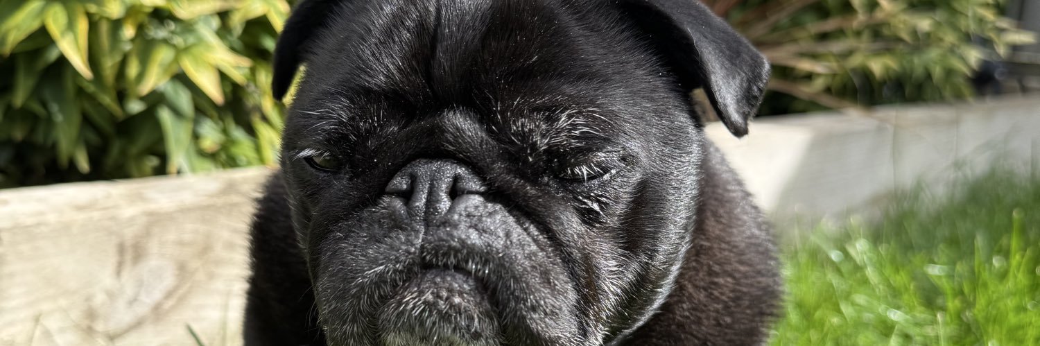 gracetemple09's profile banner image