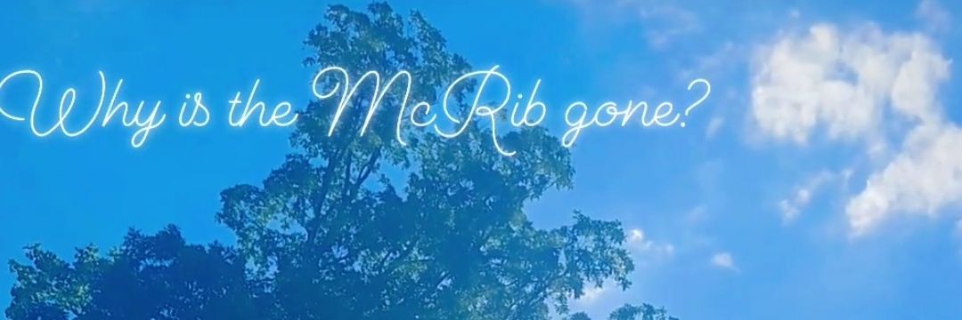 rkabir87's profile banner image