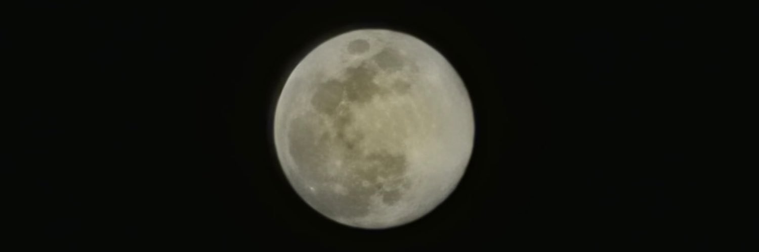fernandanieto7's profile banner image