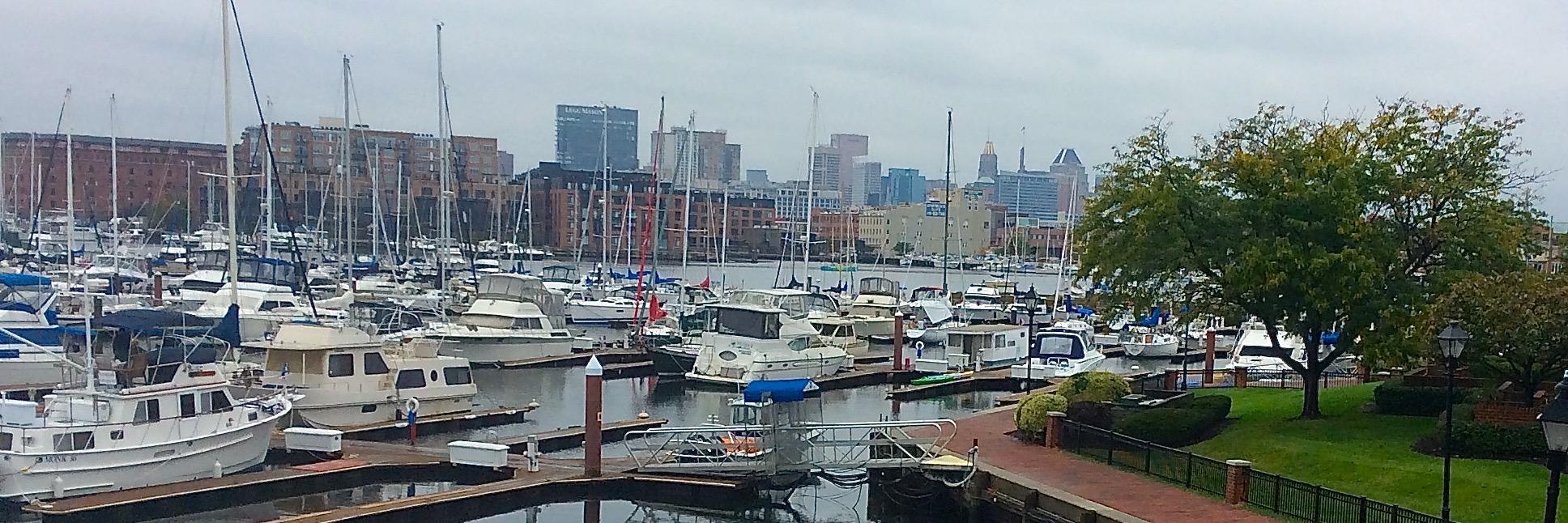 FellsPoint Watch banner