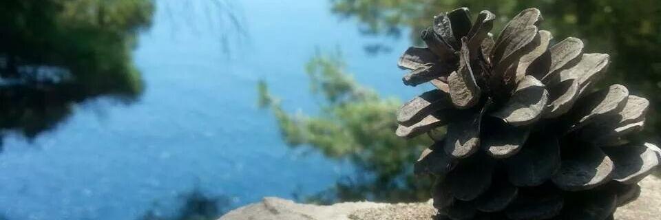 mmomic's profile banner image