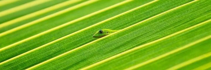 INGEBDI's profile banner image