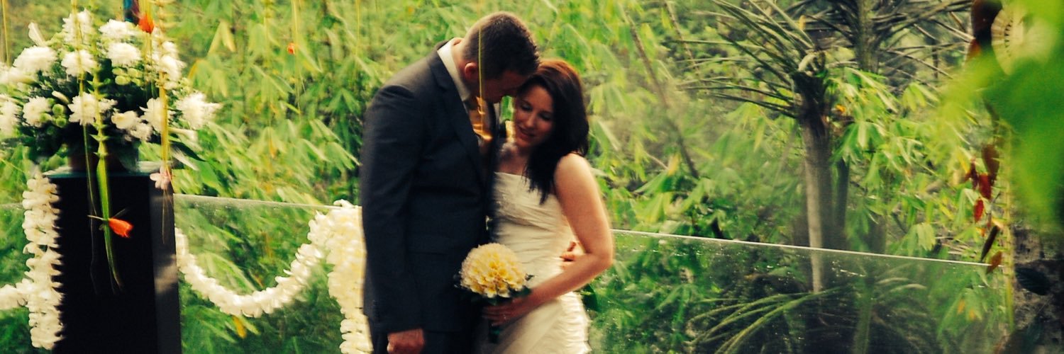 Freya McFadden banner