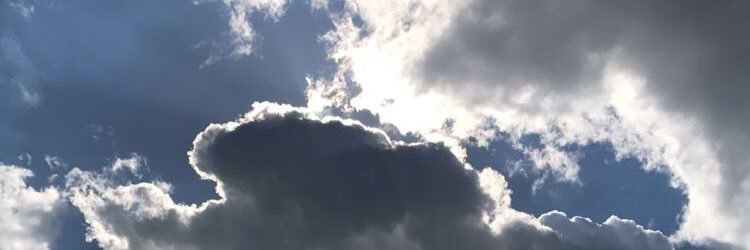 granger_natalie's profile banner image