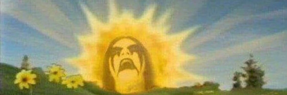 sellen fernandez banner