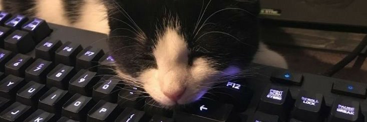 malibuxr's profile banner image