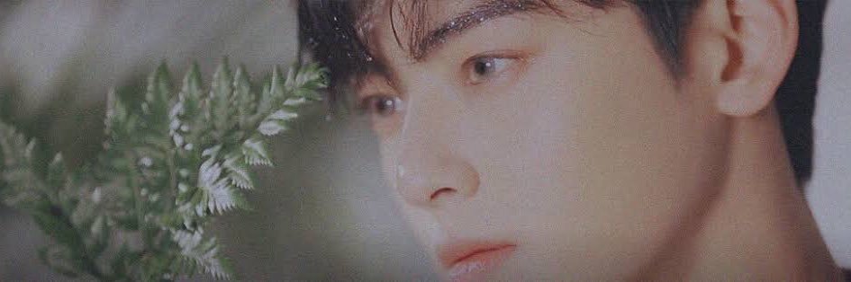 디오 banner