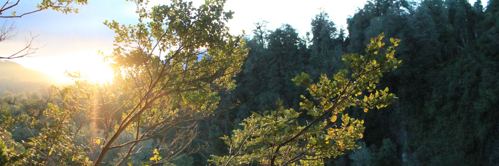 RandomuGaijin's profile banner image
