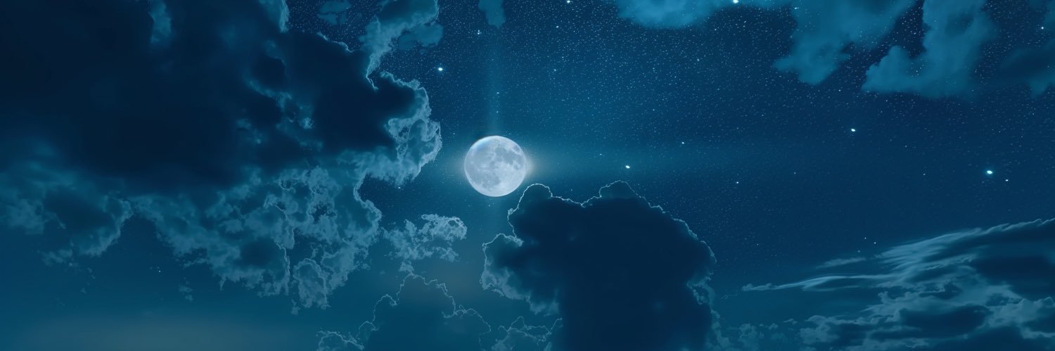 محسن بن فطيس banner