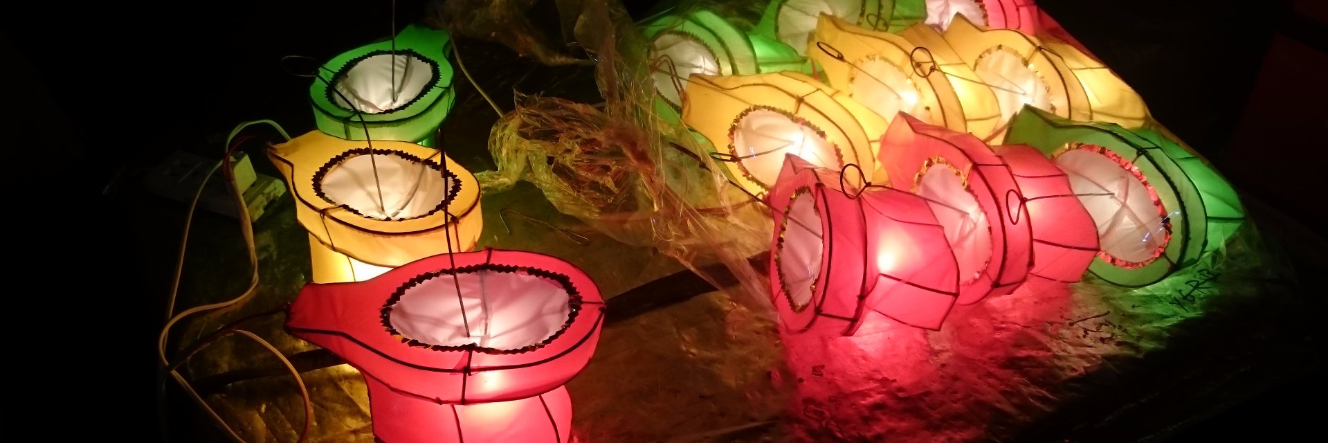 Esther Shaylor banner