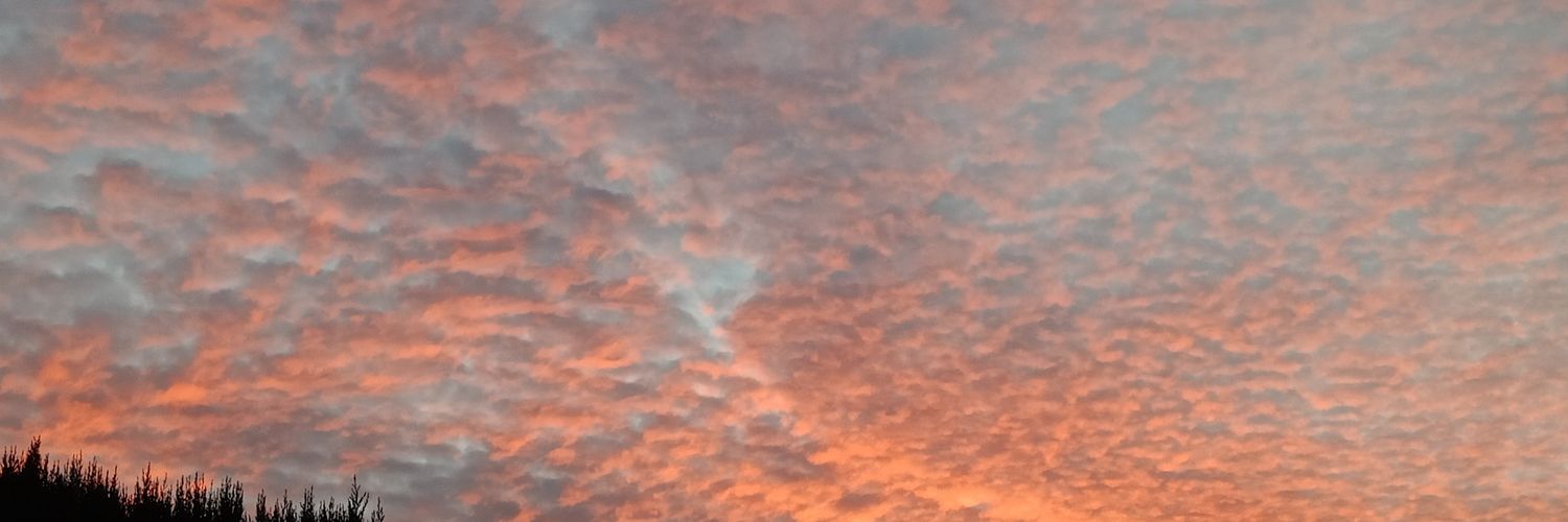 LeslyUrb's profile banner image