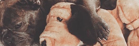 ems. banner