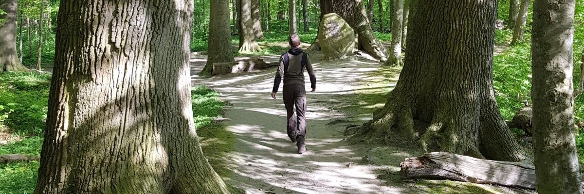 grootgroen's profile banner image