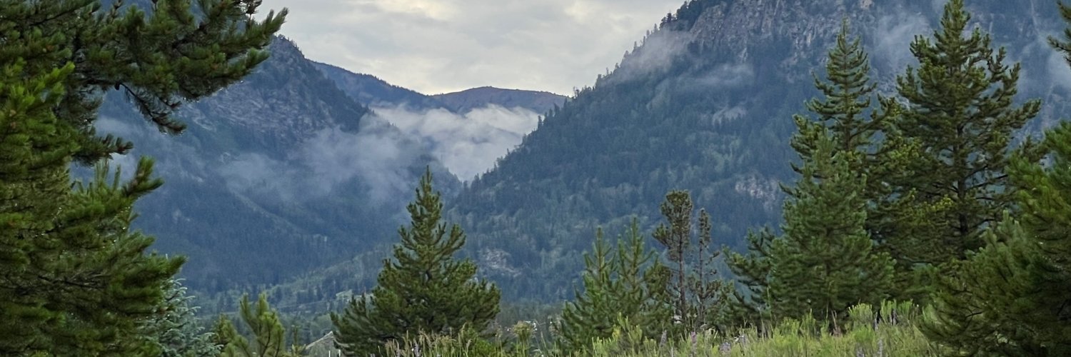 ed_deez's profile banner image