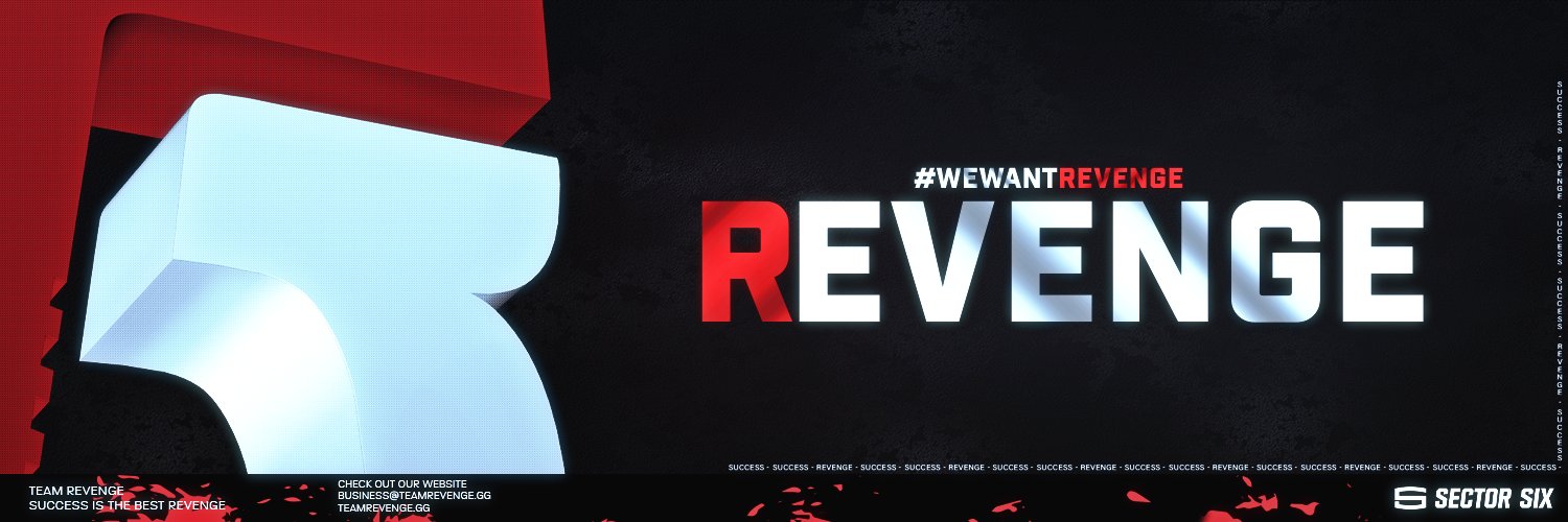 Team Revenge banner