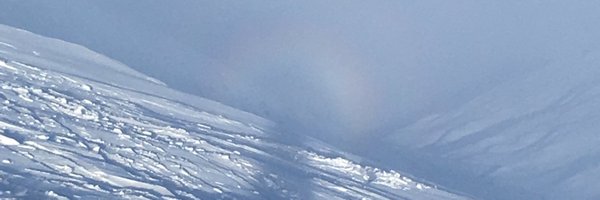 carlatrottellis Profile Banner