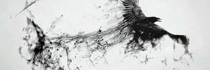 bhisoglu's profile banner image