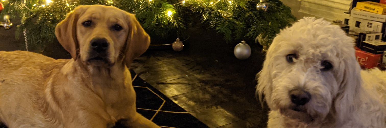 Pippa James (she/her) banner