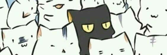 JessMeowSG's profile banner image