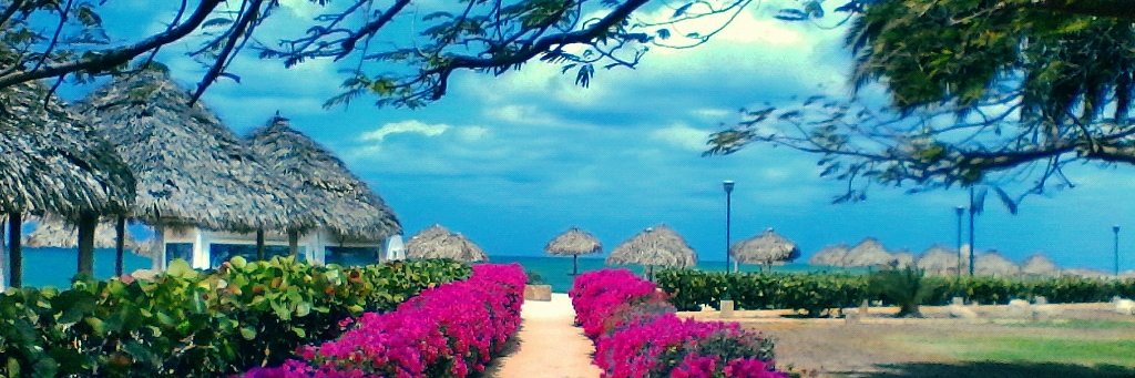 DH_Padron's profile banner image
