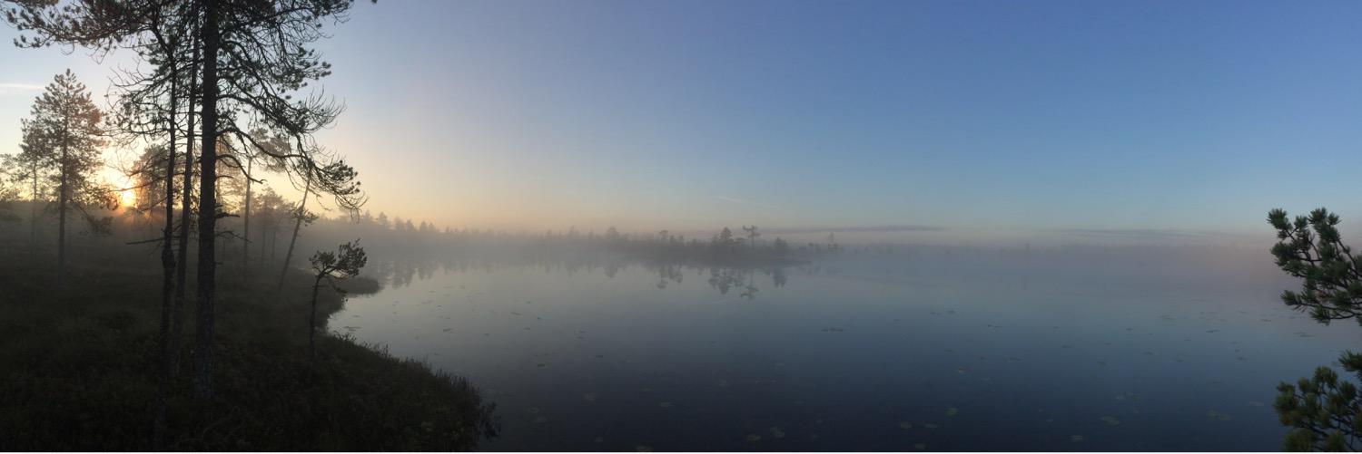 Mikko Koskinen banner