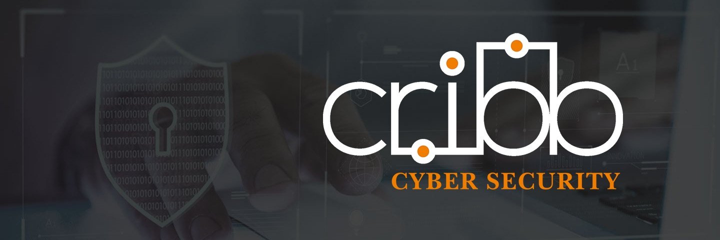 CRIBB Cyber Security banner