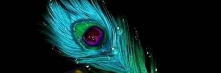 Mani49606948's profile banner image