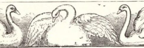 medieval vvitch banner