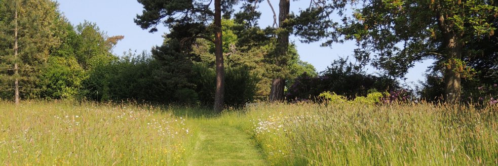 placeforplants's profile banner image