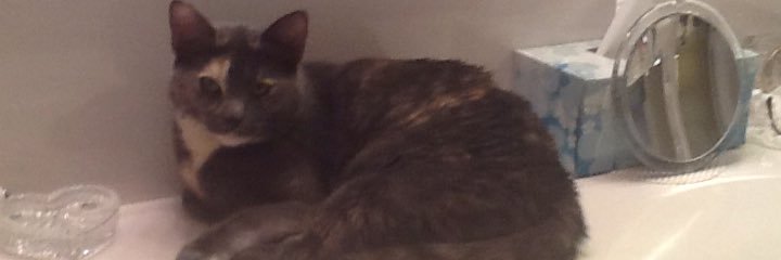 llnay's profile banner image
