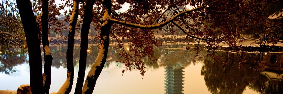dh_zhang's profile banner image