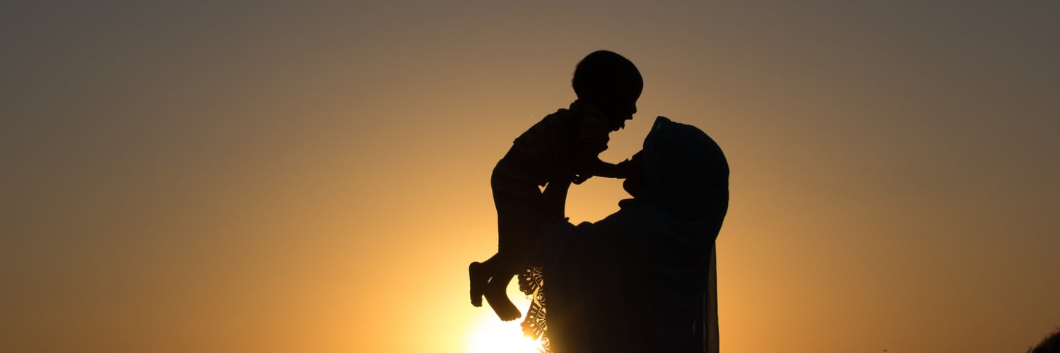 Global Nutrition Cluster banner