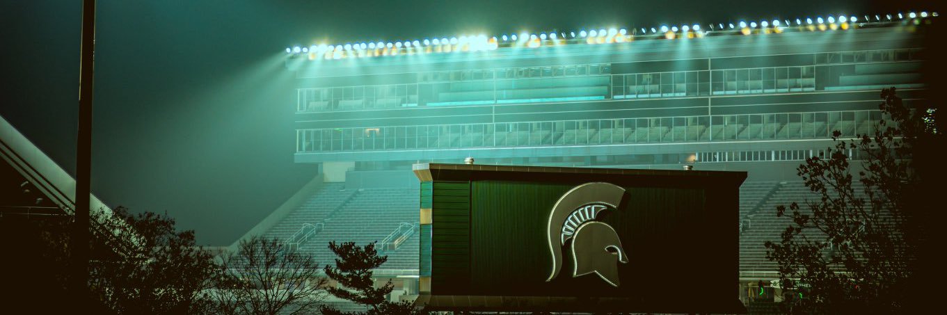 sad lions fan banner