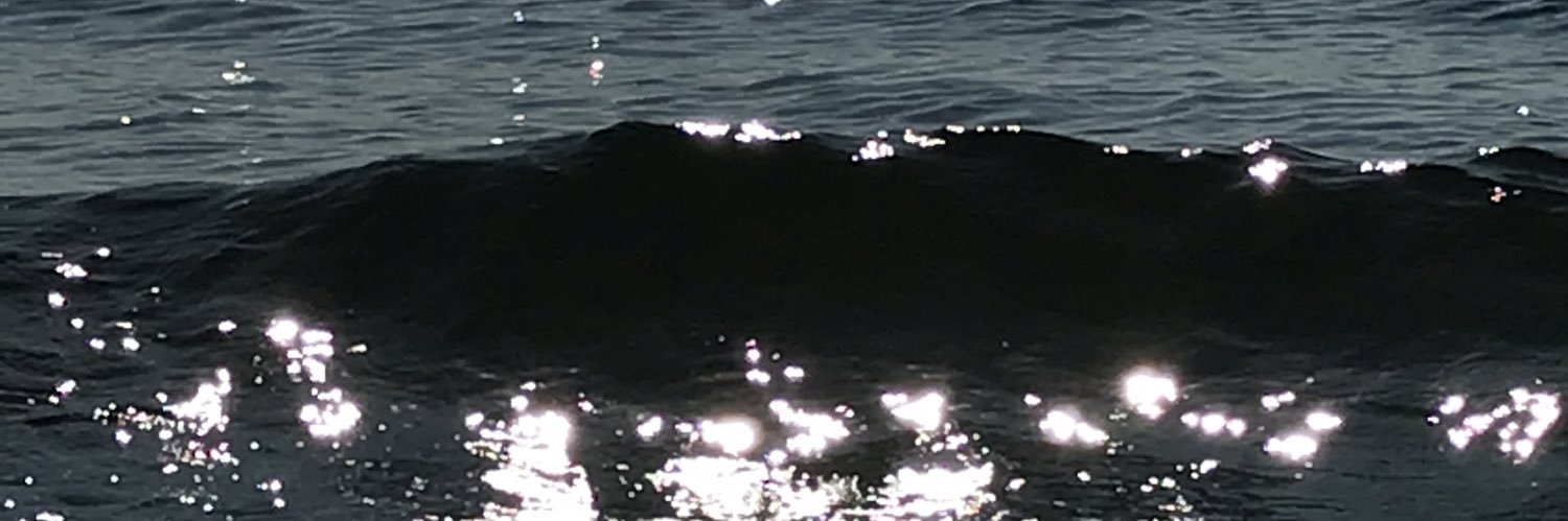 Señorita Sea's banner