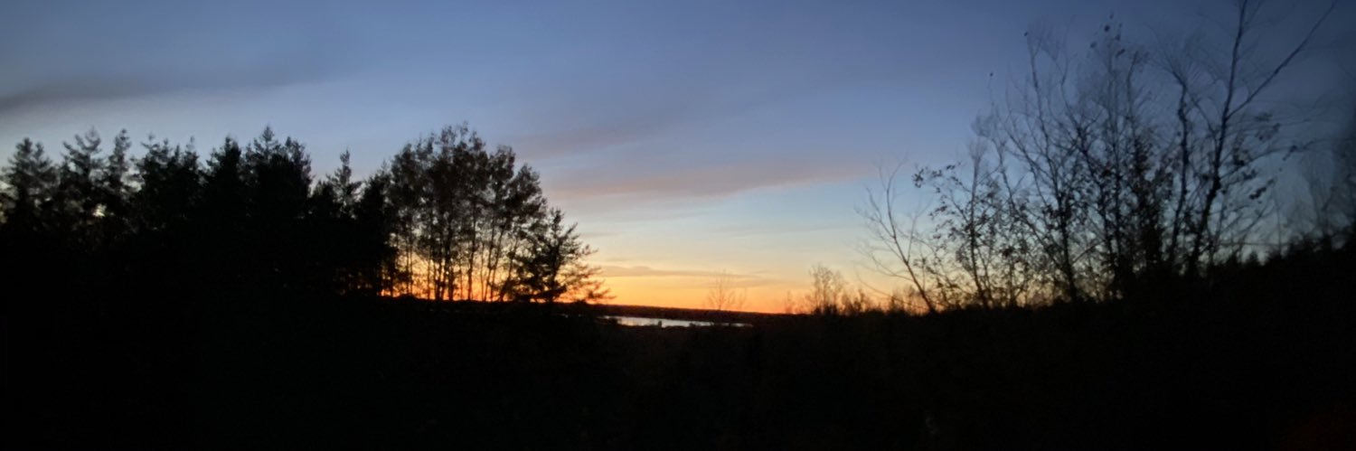 alyylivingston's profile banner image